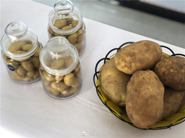 5天行走燕赵，20家媒体记者这样讲述河北小康故事