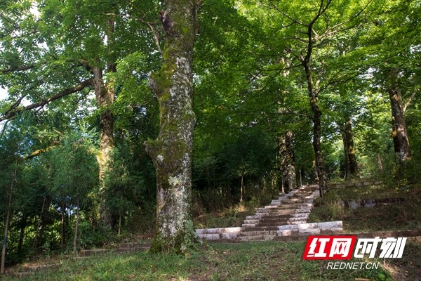 隆回花瑶旅游节,湖南隆回花瑶古寨旅游