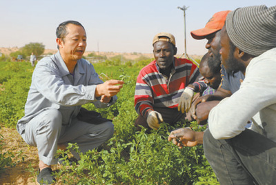 为全球减贫事业探索有益路径