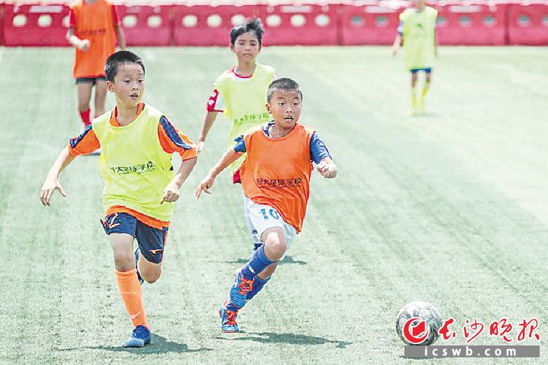 恒大与足校合作,恒大与足校合作协议