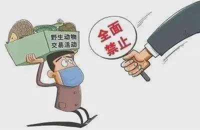 收购虎骨判刑标准,收购虎骨处罚标准