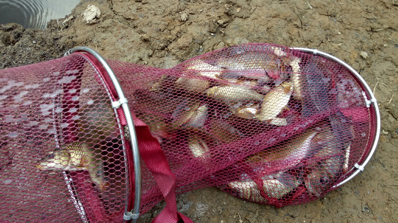 初探水库,初探千岛湖