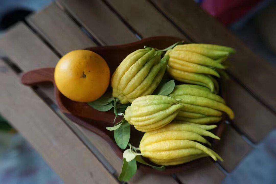 曲径通幽绿树环绕鸟语花香,曲径通幽空气清新