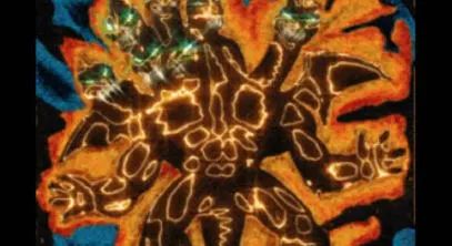 人人在线、万物互联的今天，我们为什么还要去逛买手店