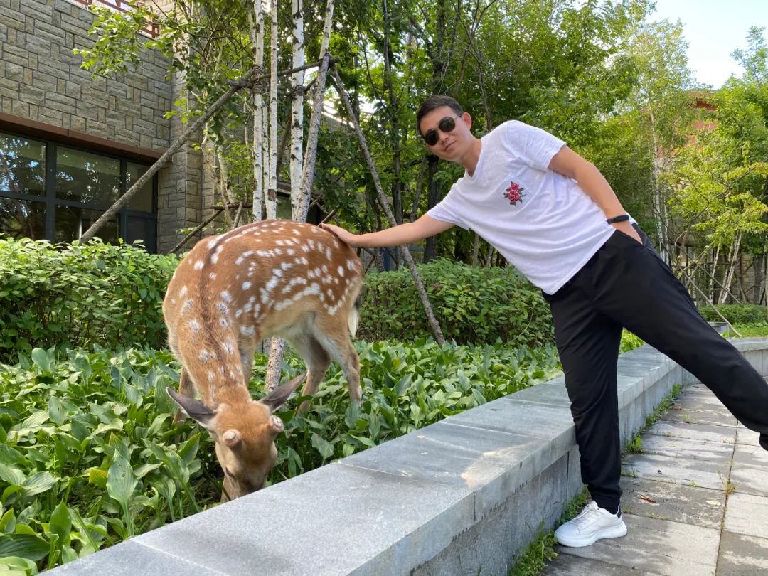 去长白山哪家酒店度假最好,长白山最佳观景酒店