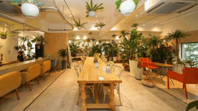 德清要发的这份“福利”超棒！还不知道你就亏大了