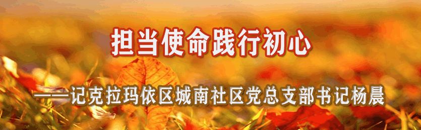 不忘初心牢记使命社区党支部书记,践行初心担当使命的人物事迹简短
