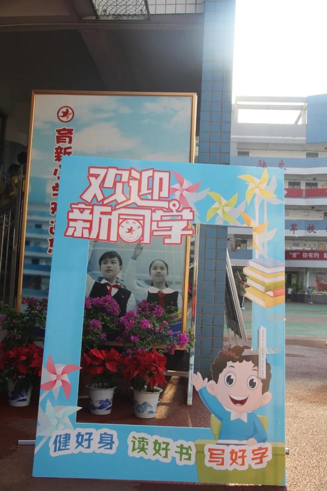 闀挎矙鑲叉柊灏忓,鑲叉柊灏忓闀挎矙