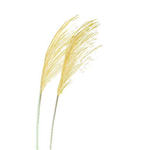 值得下血本入手的7件单品,最值得购买的6种单品