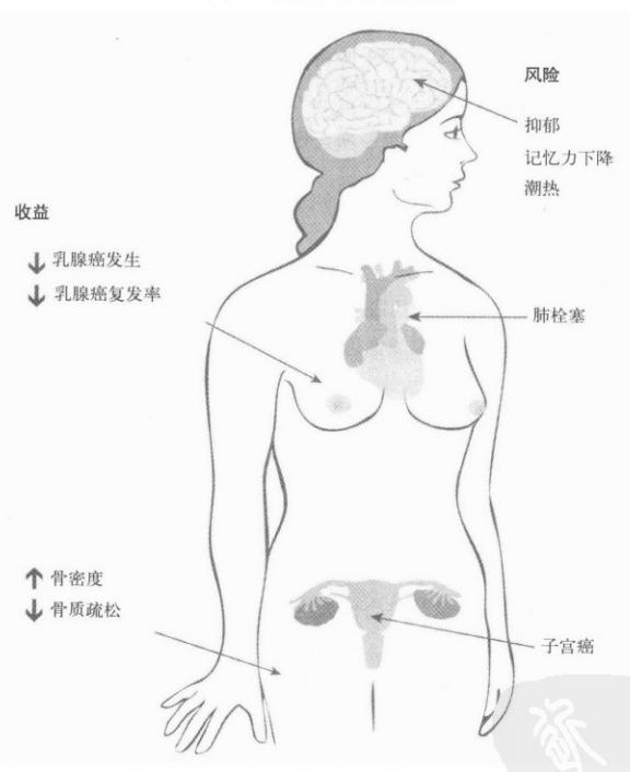 三苯氧胺的窘境|《更年期的智慧》第十三章第10节