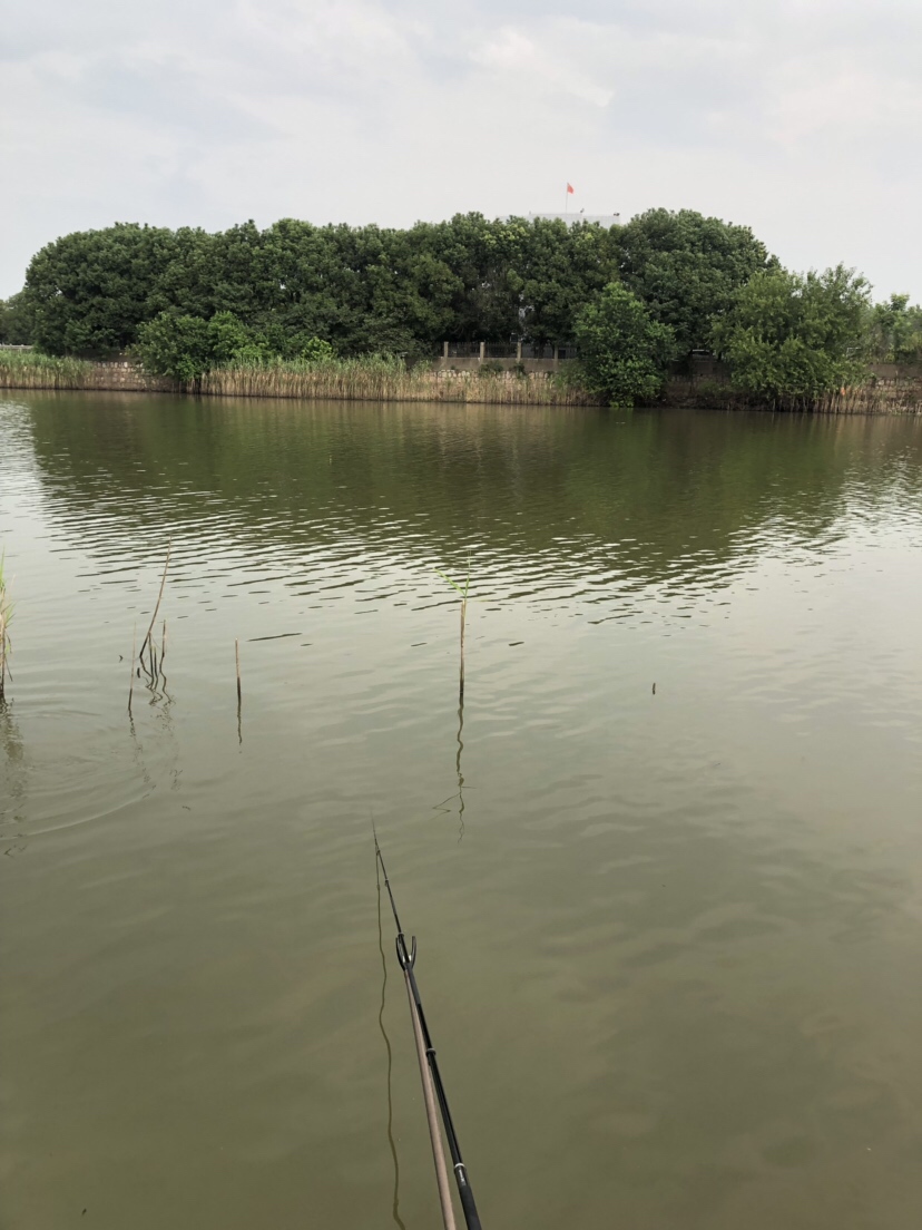 大风大浪钓大鱼完整视频,大风大浪钓大鱼是真的吗