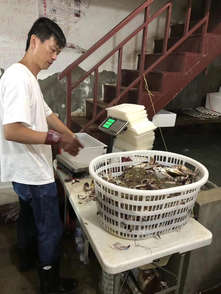 「内附福利」一群海边人“尝鲜”，用直播卖蟹涨粉，从几斤到几百斤