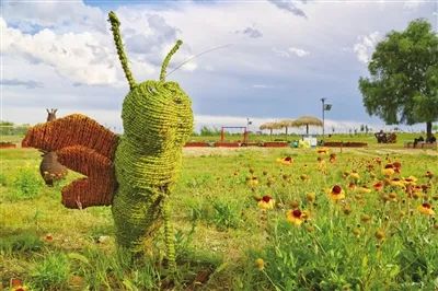 花田之约，醉美其中…