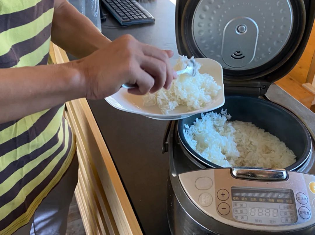 5年培育、全市首个!金山种植的这个“优质物”未来将推广至全国!