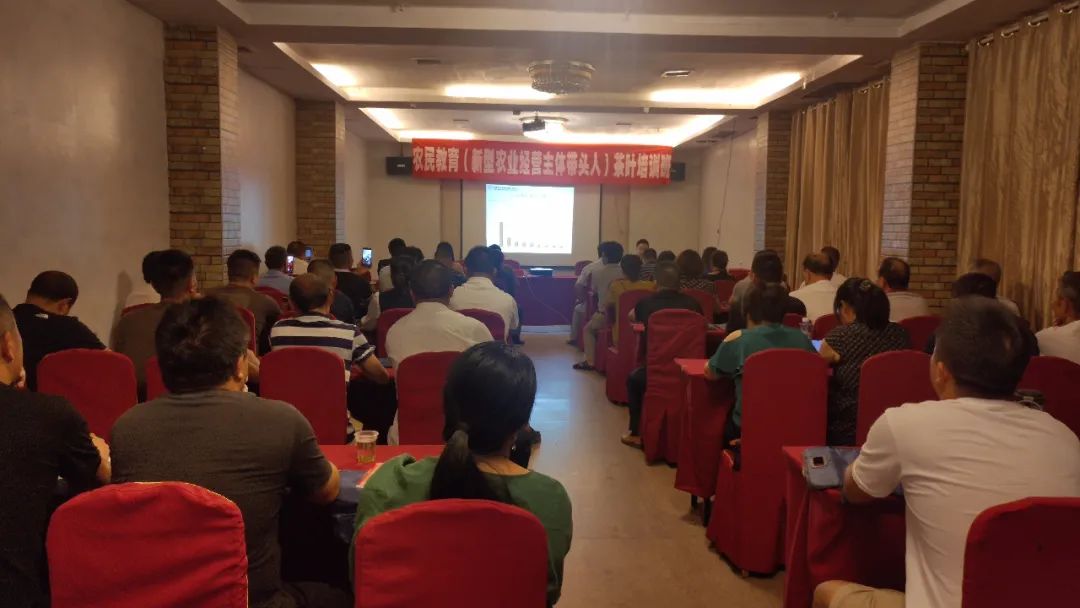 中茶督导,六名专家来为茶产业发展出谋划策