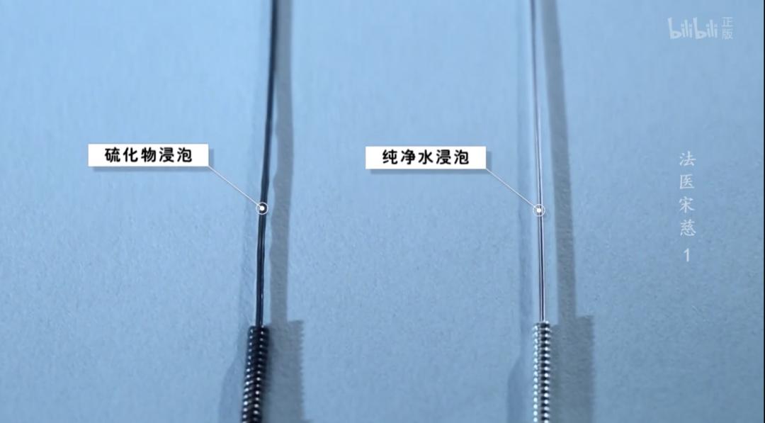 大宋法医宋慈纪录片,法医宋慈类似纪录片