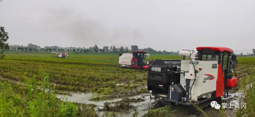 关注鄱阳湖抗洪抢险一线现场,黄冈防汛最新消息