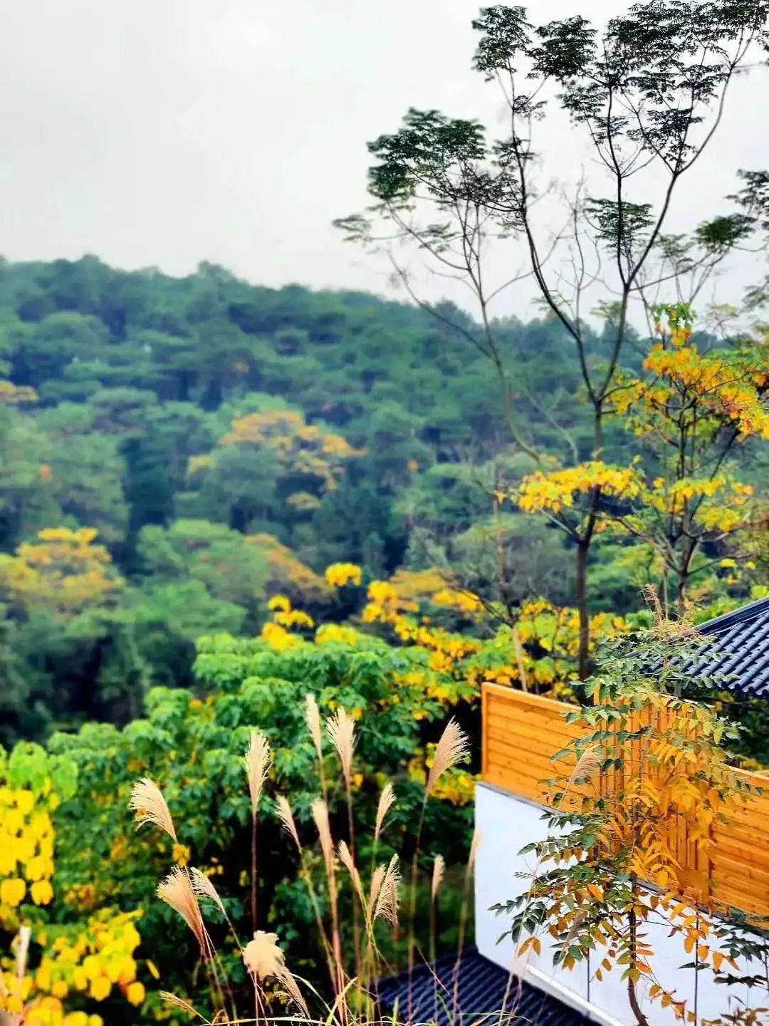 南宁收藏老物件,南宁美丽南方原舍民宿