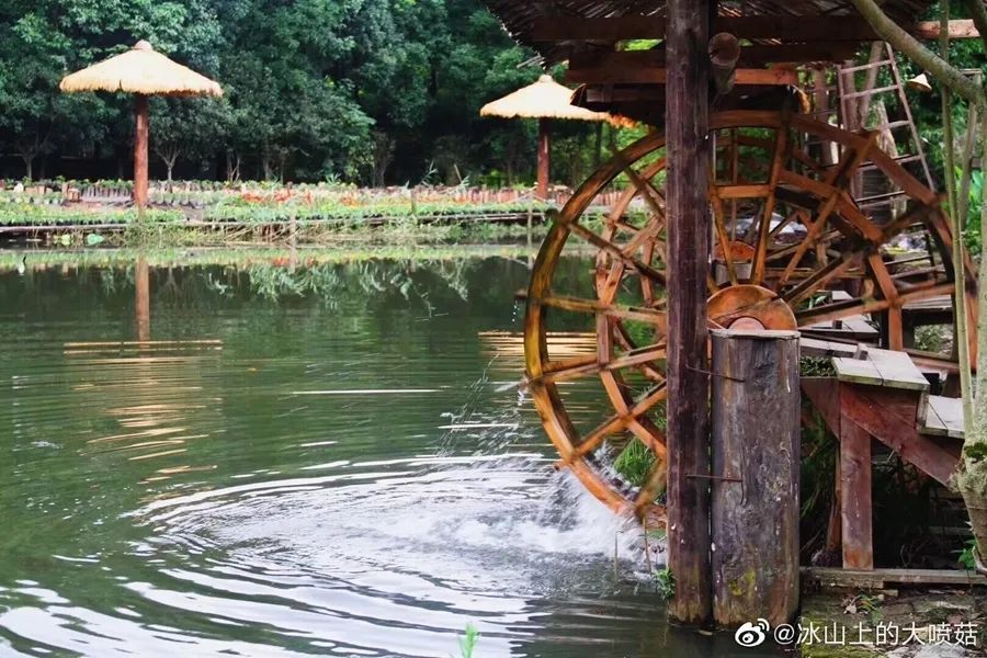 成都周边一日游网红打卡地民宿,成都网红打卡地旅游民宿