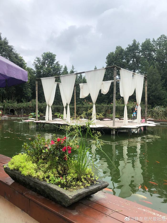 成都周边一日游网红打卡地民宿,成都网红打卡地旅游民宿