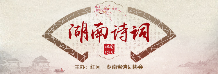 辛弃疾的诗词鉴赏及感悟,辛弃疾诗词大全及其赏析