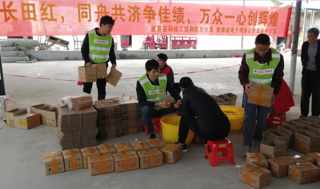 鏌冲窞甯傜綉缁滄壎璐姇绁ㄥ摢瀹跺ソ,鏌冲窞甯傜綉缁滄壎璐摢瀹跺己