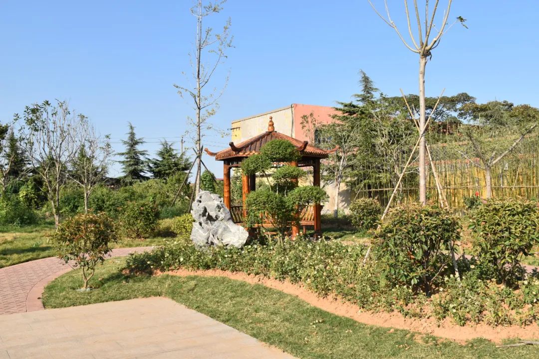 市委书记下乡视察乡办小学,市委书记到乡镇小学视察全集