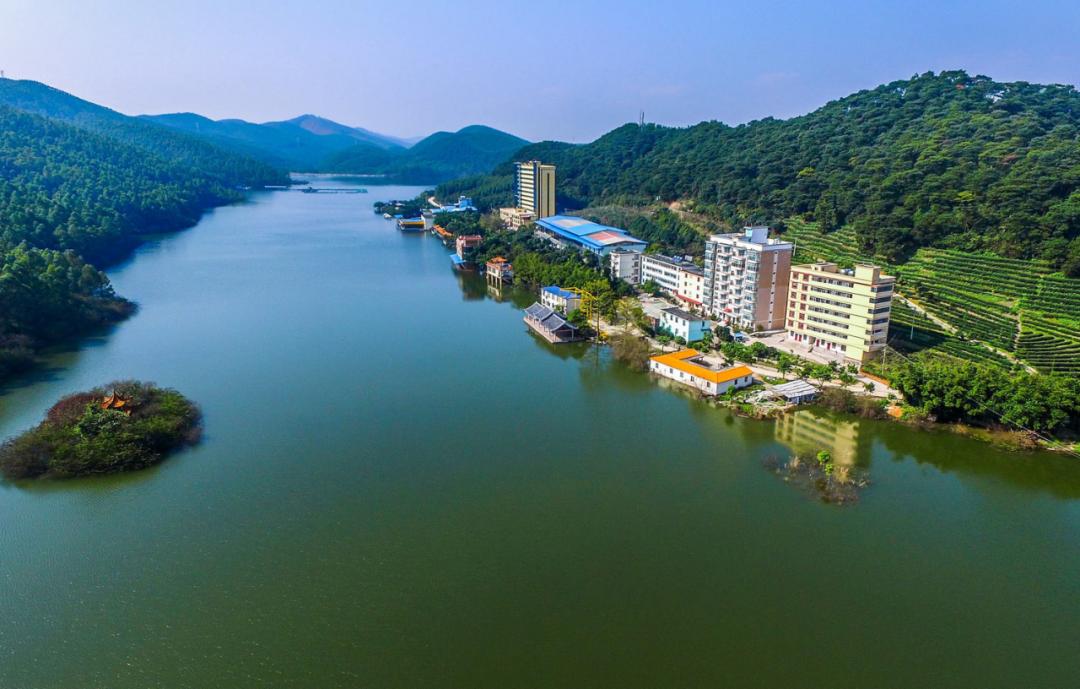 武鸣乡村旅游景点,武鸣区旅游业