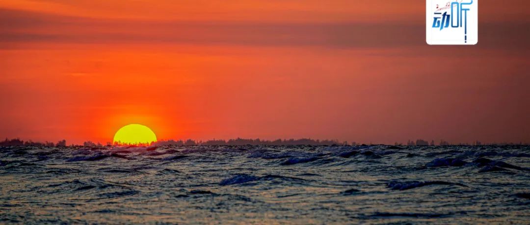 夜读学会高情商,夜读学会和自己和解