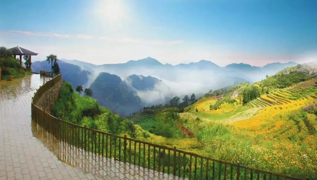 永泰哪里能摘野生八月瓜,八月瓜采摘优惠团购