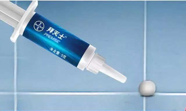 蟑螂满屋爬,蟑螂往身上爬好几只