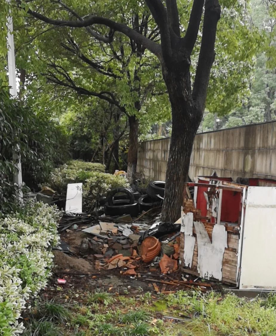 欠收拾图片,宝宝欠收拾