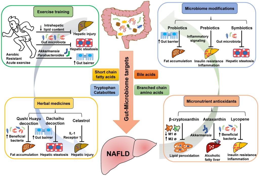 nafld治疗面临多重挑战,nafld饮食建议