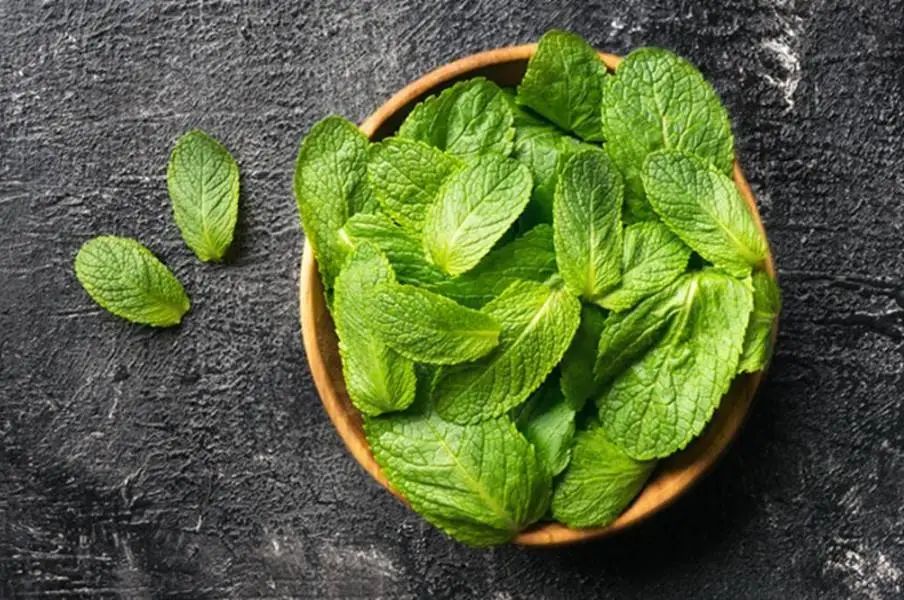 感觉嘴里有股肠胃的臭味,肠胃有一股腐臭味怎么回事