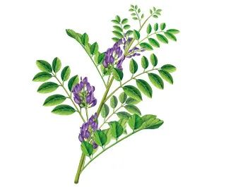 粉丝分享｜踏踏实实打好“肌”础真的有用