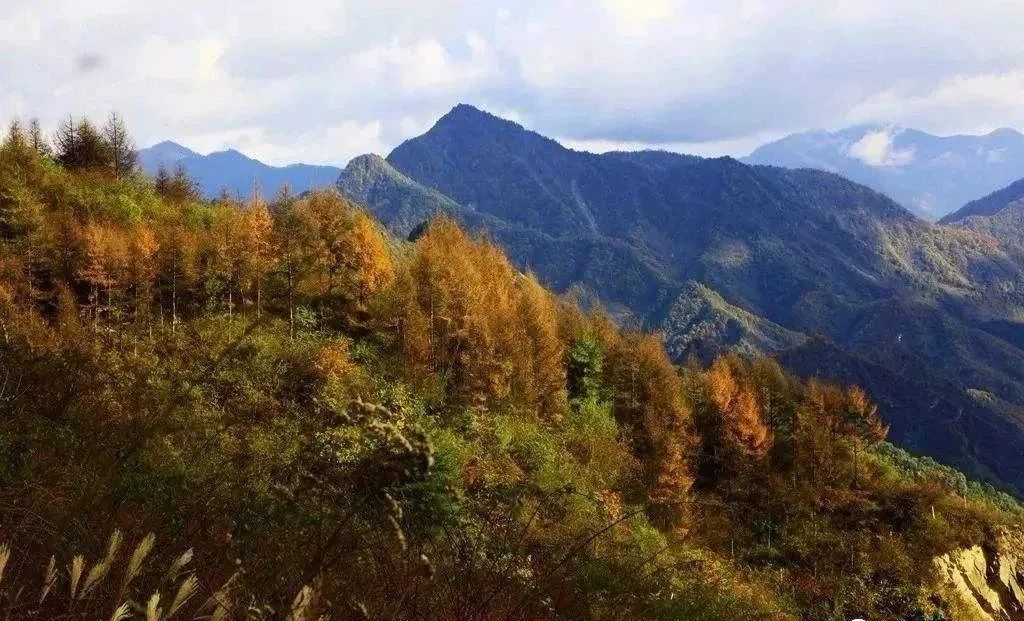 武都旅游景点大全,武都旅游线路