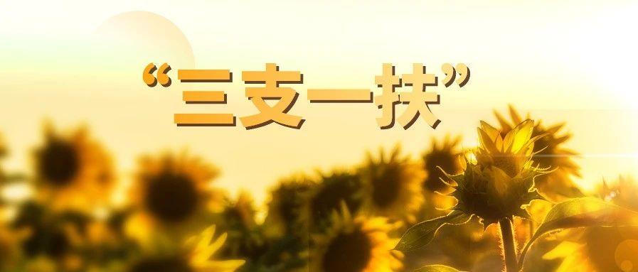 江西三支一扶2022年备考资料,江西九江三支一扶最新待遇