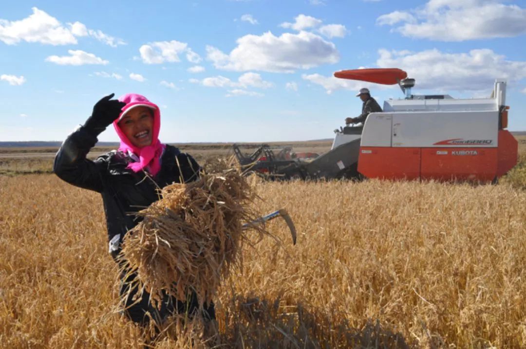秋分的小知识有什么,今日秋分告诉孩子这些小知识