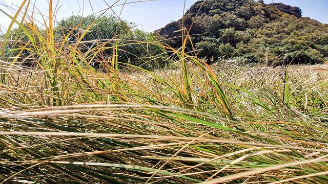 涞水野三坡旅游攻略,涞水白草畔自然风景区野三坡