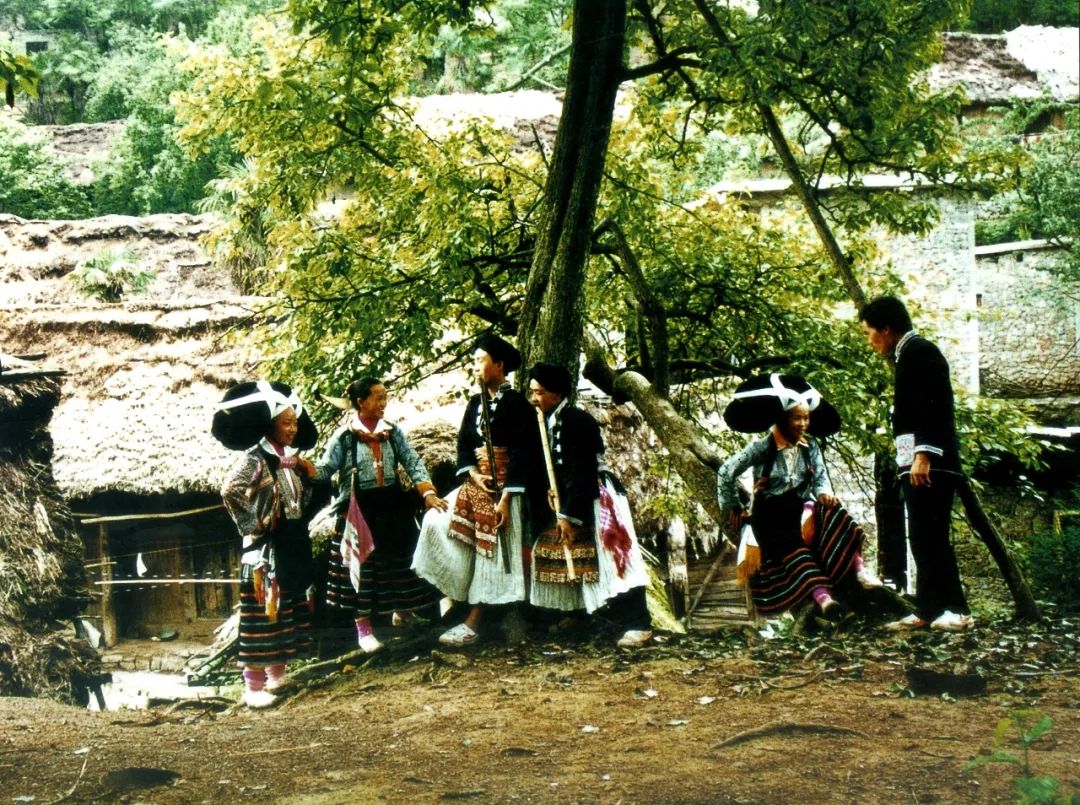 贵博微展丨乌蒙秘境天上凉都