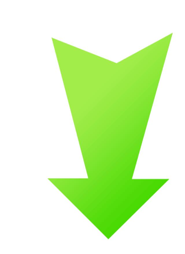 市长杯青少年校园足球联赛开幕式,广州市市长杯青少年校园足球联赛