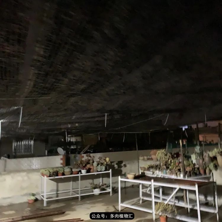 浠庝簯鍗楄繃鏉ュ箍涓滅殑澶氳倝,閬囪澶氳倝鎰熸仼鐢熷懡涓墍鏈夌殑鐩歌瘑