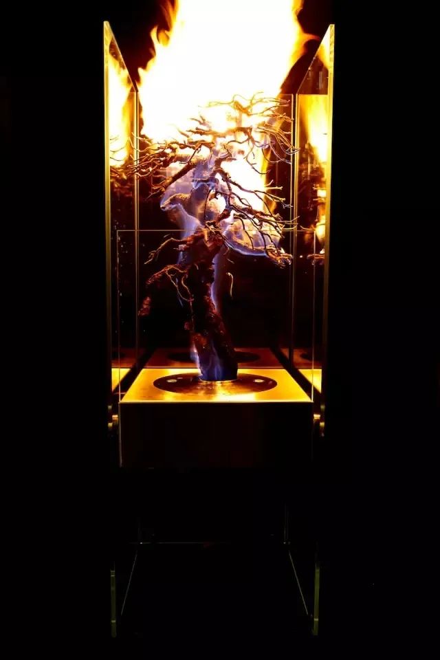 他是日本著名“花花公子”，拈花惹草只为极致的美