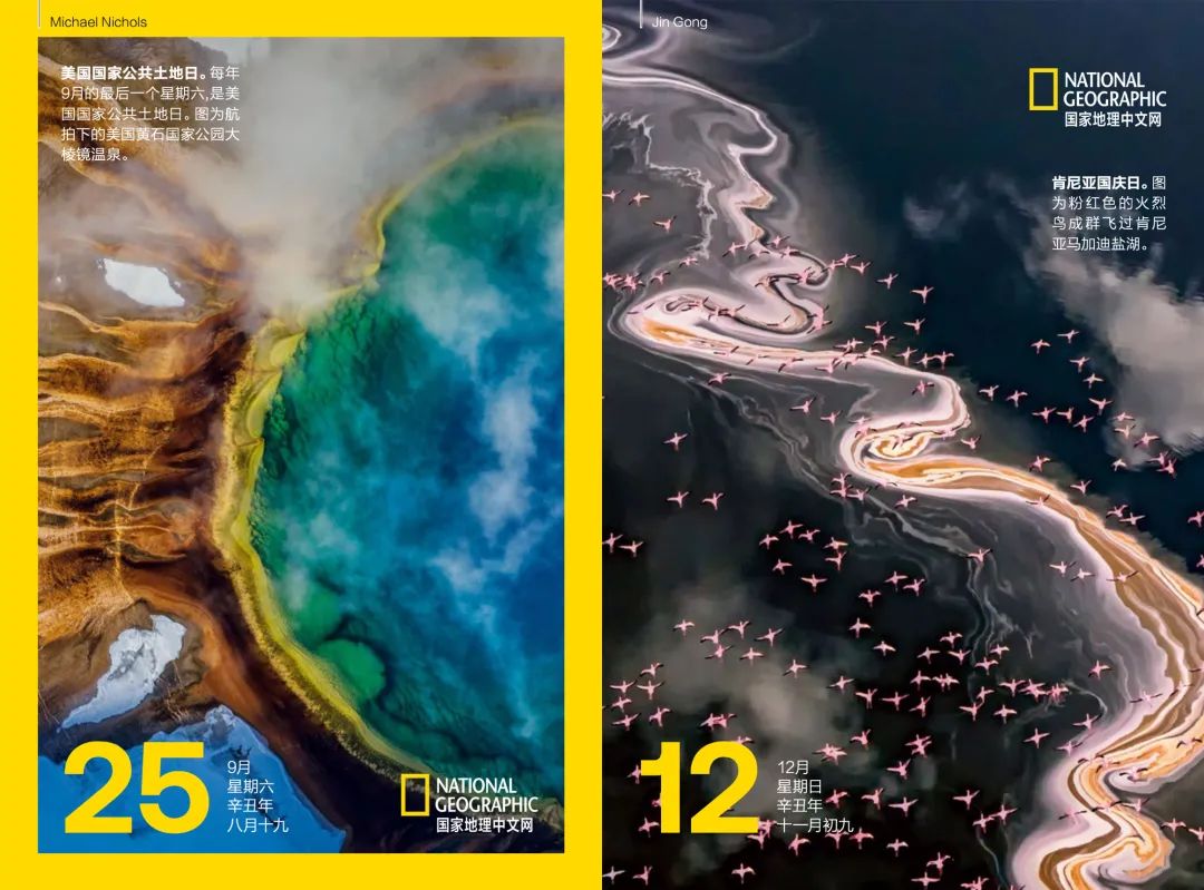 来，我们斗胆聊一下出国怎么玩