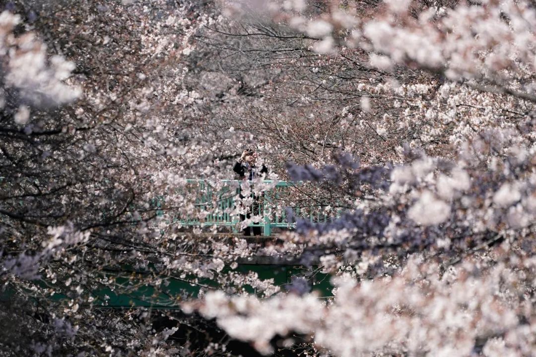 来，我们斗胆聊一下出国怎么玩