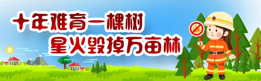 五莲县人大成员名单,五莲县委组织部五类人员公示