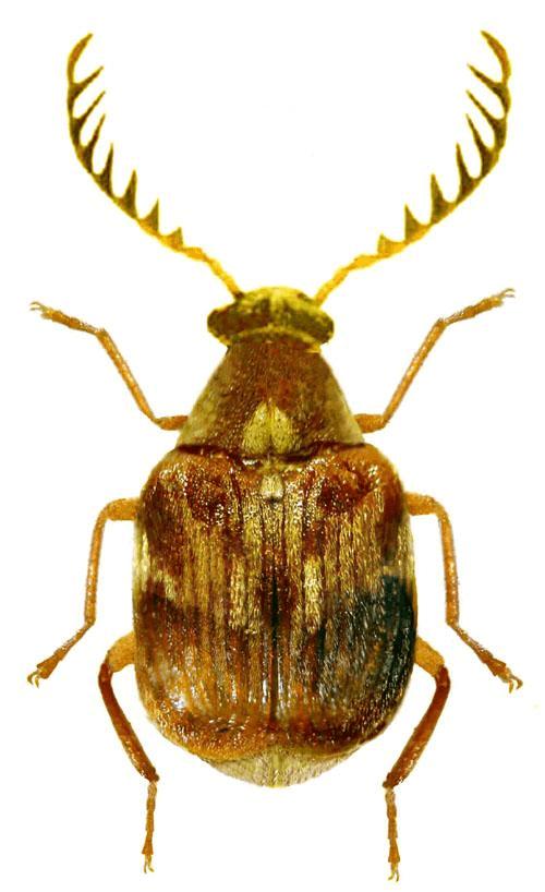 海关出口小知识,海关小知识大全集