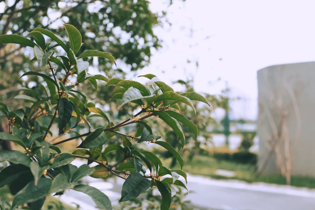 滨江多思创新学校,滨江学校全部排名