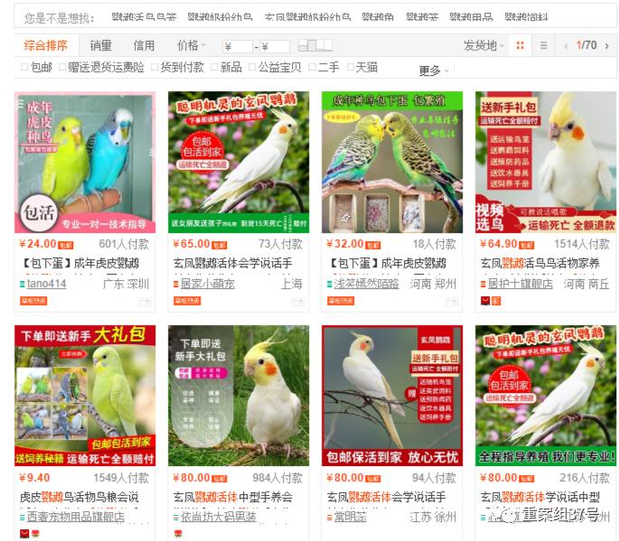 电商平台是否可以销售活体,电商能卖活体宠物吗