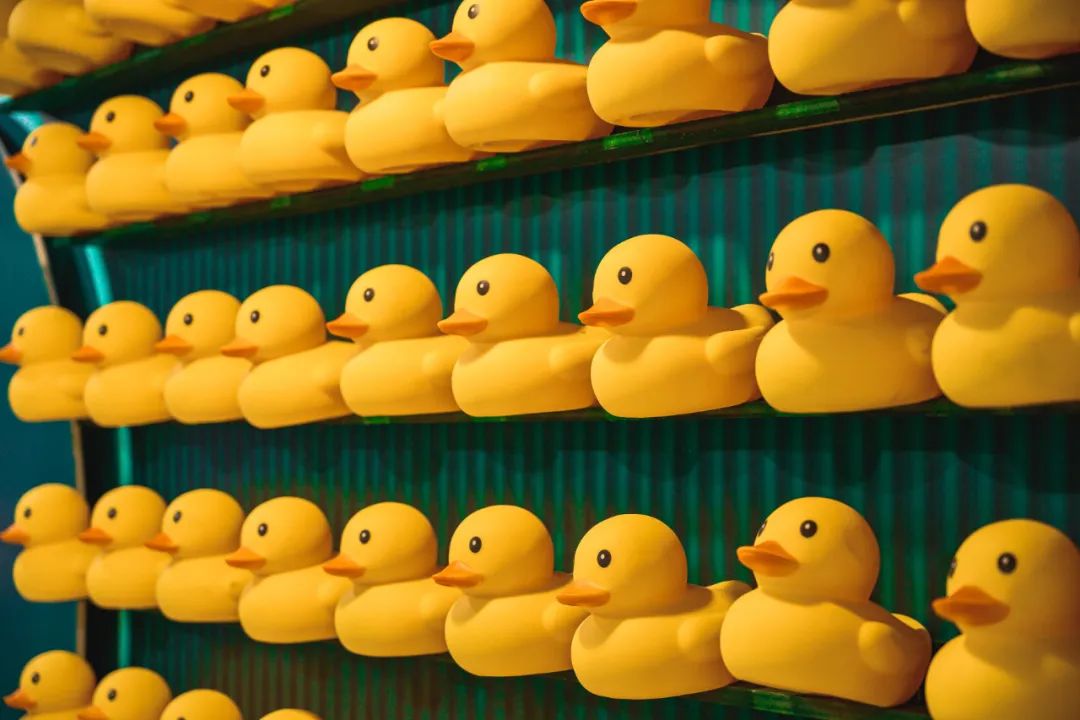 禅城有人约会吗,佛山禅城适合约女生玩的地方